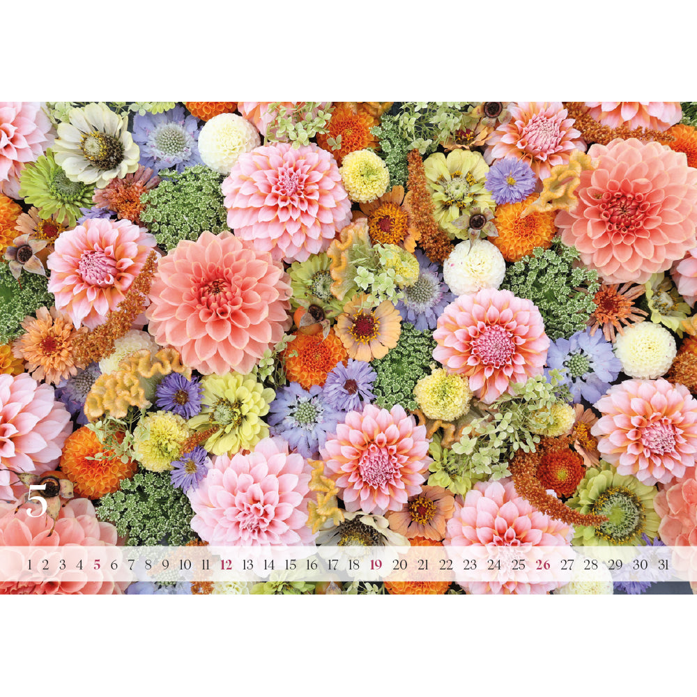 Gartenzauber Dahlien- und Blumenkalender 2024