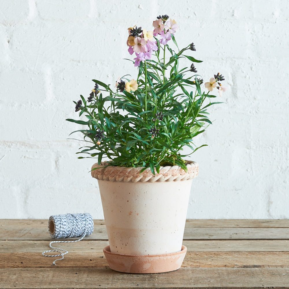 Clay pot Emilia - Pink, 16 cm