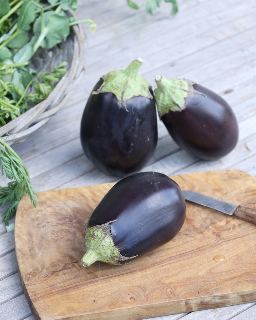 Aubergine 'Meronda' - Solanum melongena