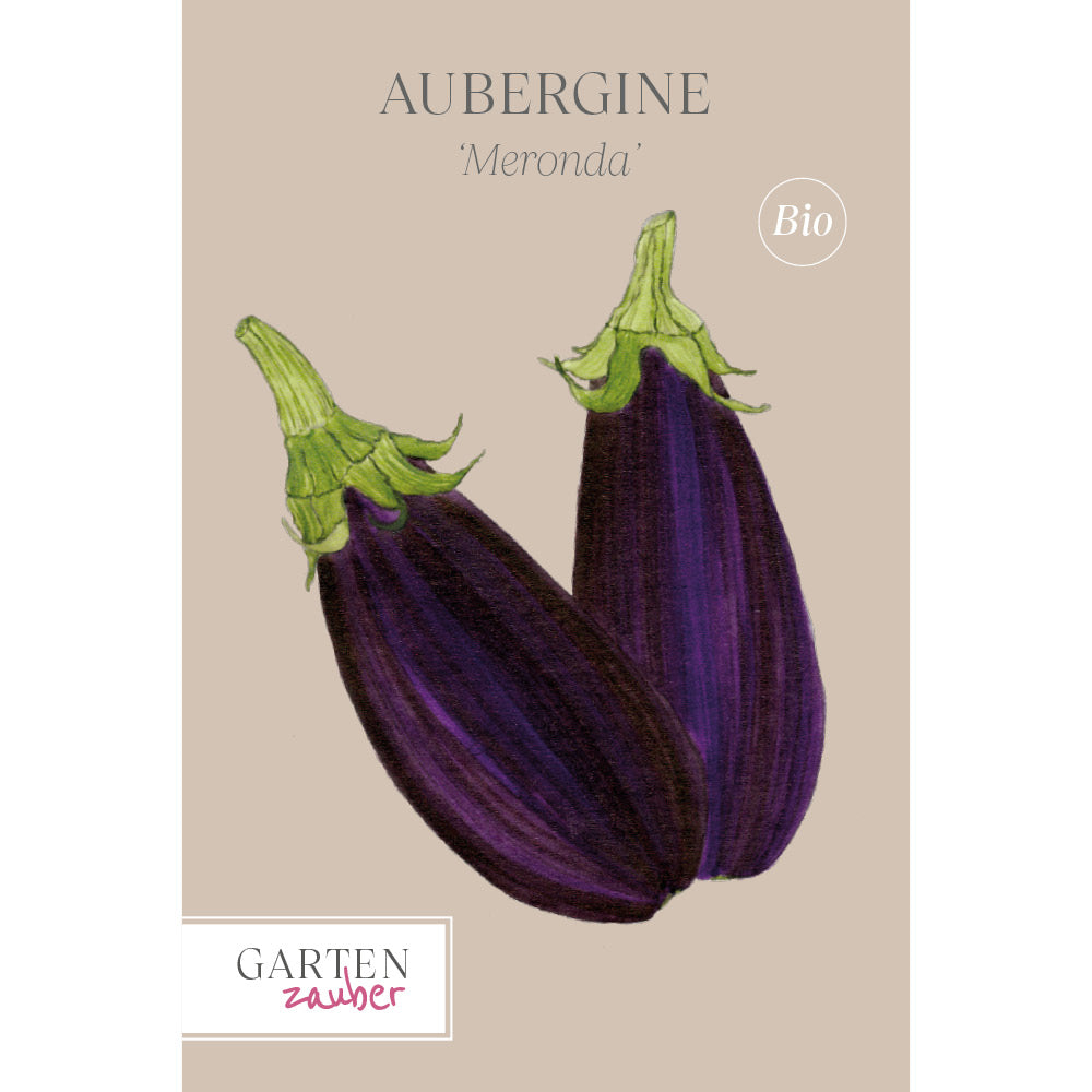 Aubergine 'Meronda' - Solanum melongena