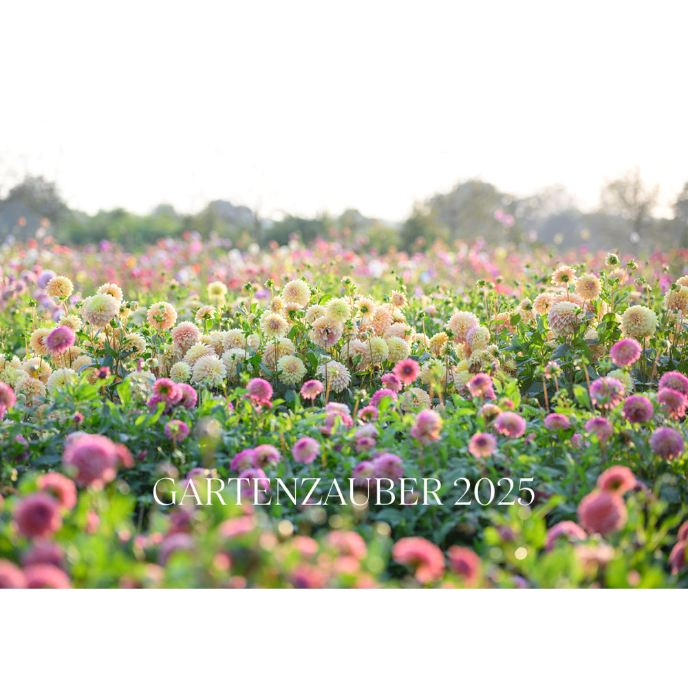 Gartenzauber-Kalender Deckblatt mit Dahlienbeet