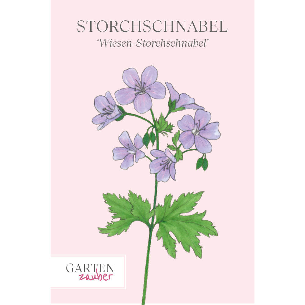 Vorderansicht Saatguttuete Wiesen-Storchschnabel