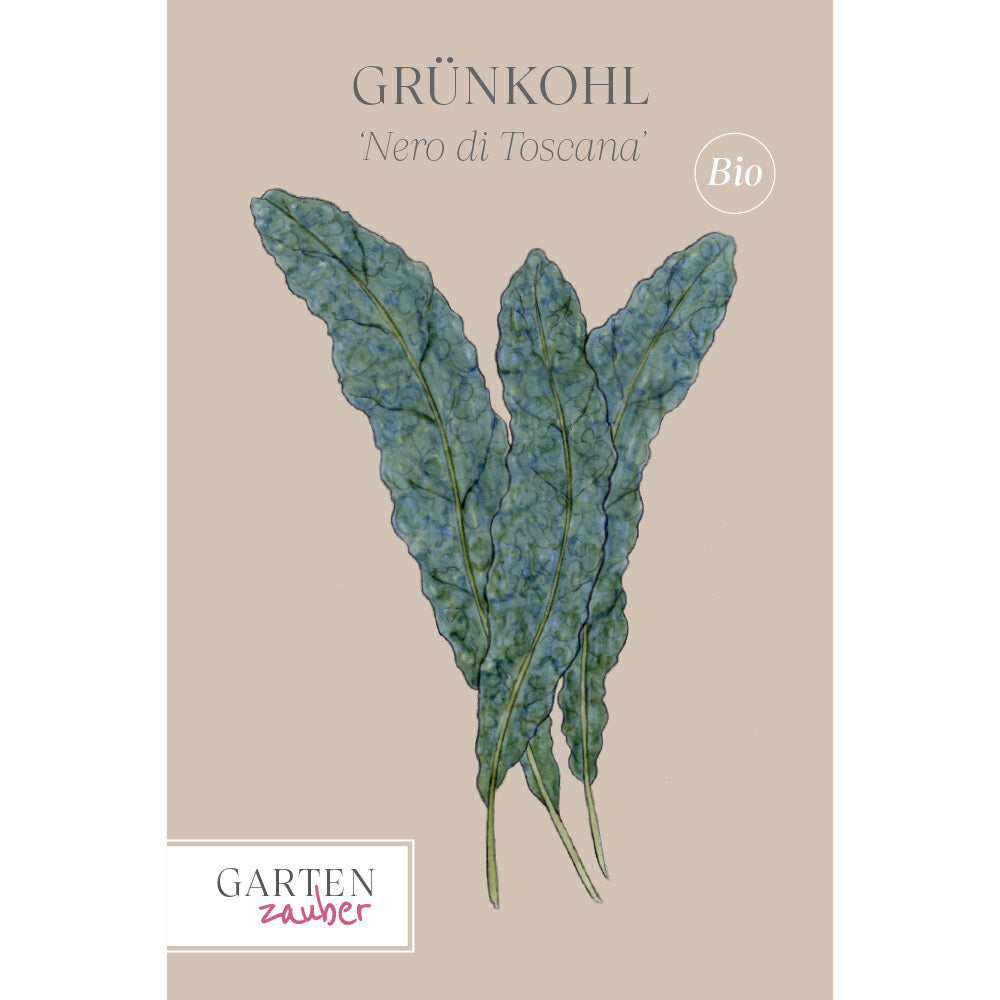 Grünkohl 'Nero di Toscana' - Brassica oleracea