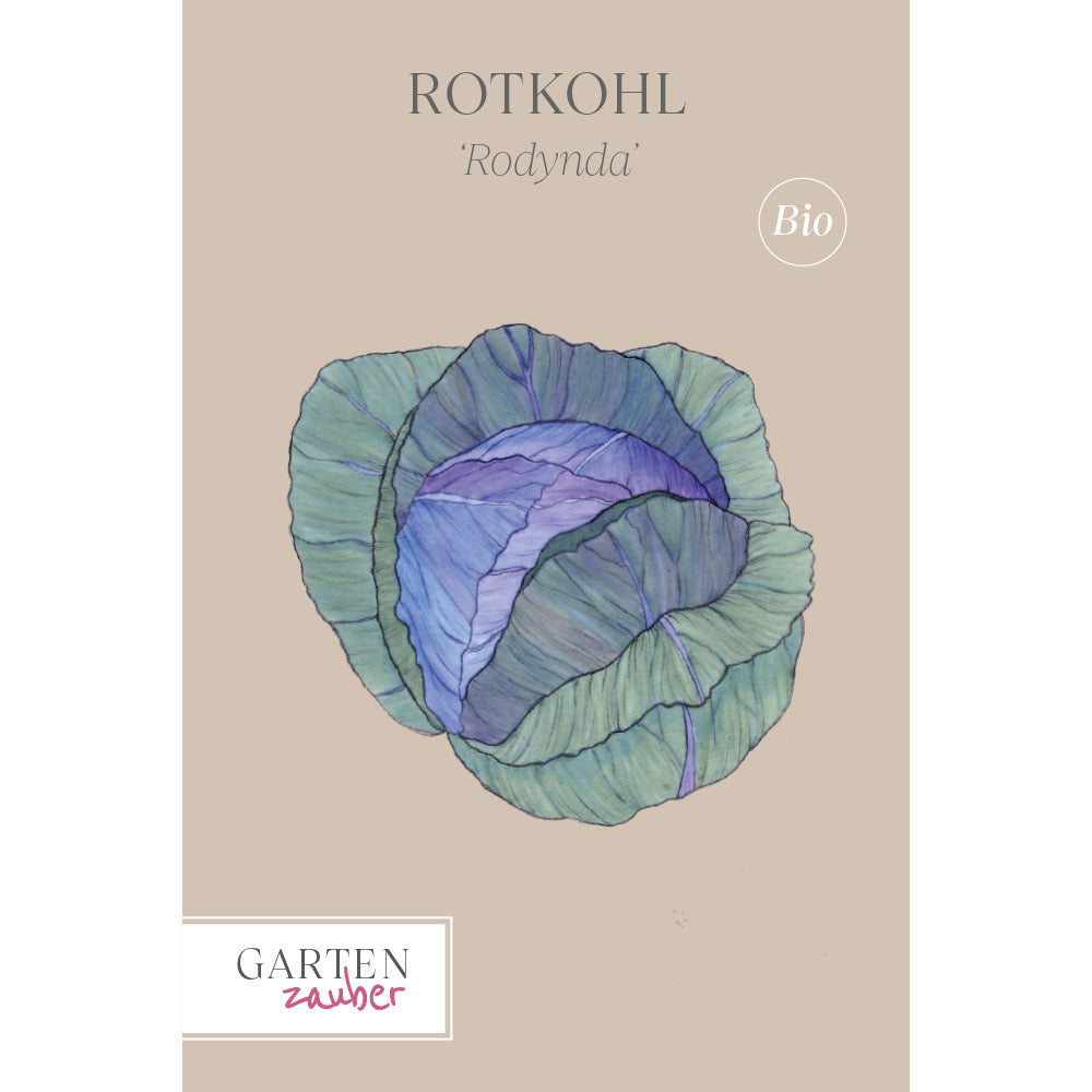 Vorderansicht Saatguttuete Rotkohl ‘Rodynda’ aus der Gartenzauber-Saatgutserie