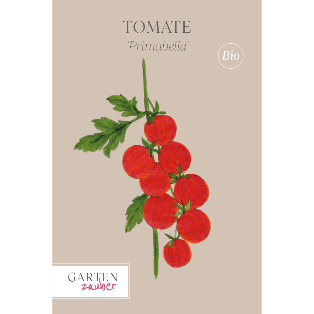 Tomate 'Primabella' - Solanum lycopersicum