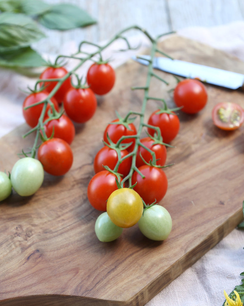 Tomate 'Trixi' aus der Gartenzauber-Saatgutserie