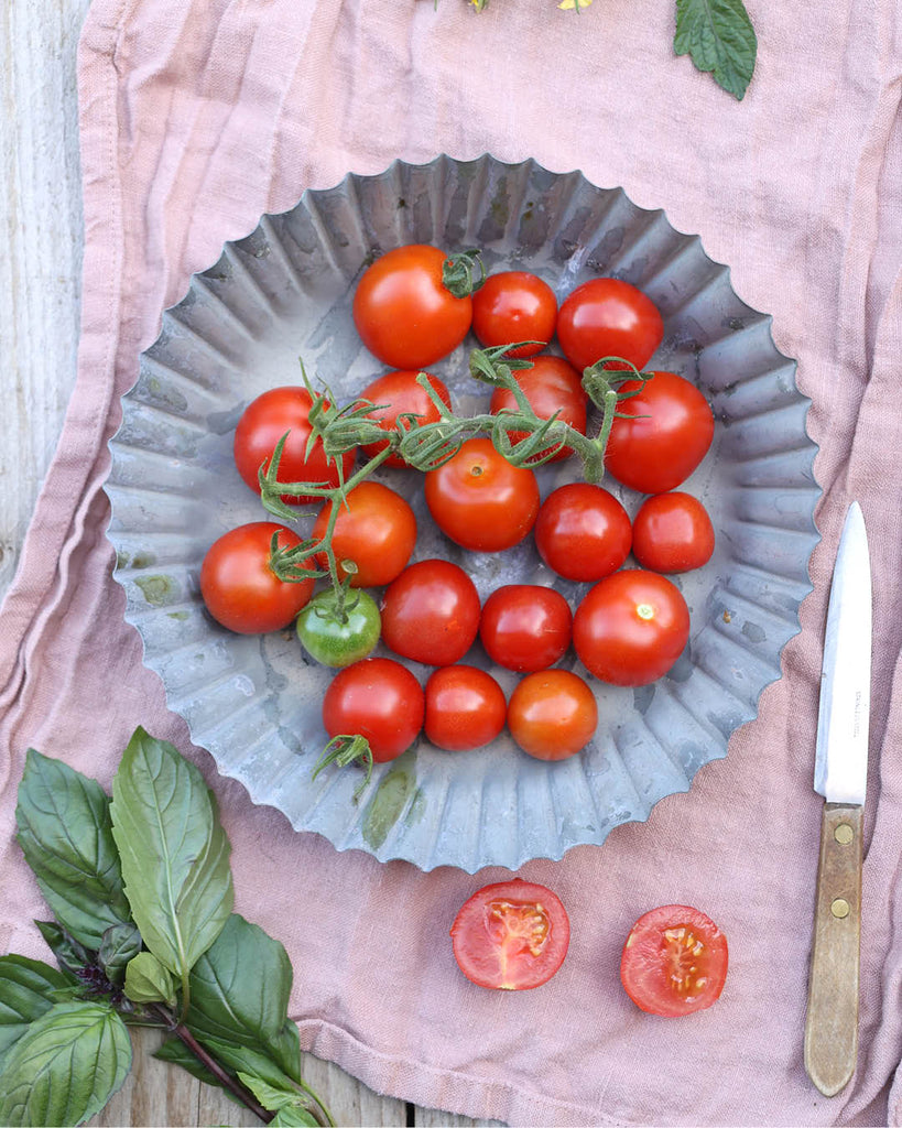 Tomate 'Zuckertraube' aus der Gartenzauber-Saatgutserie