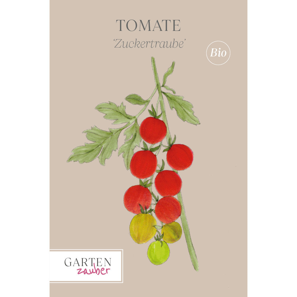 Vorderansicht Saatguttuete Tomate 'Zuckertraube' aus der Gartenzauber-Saatgutserie