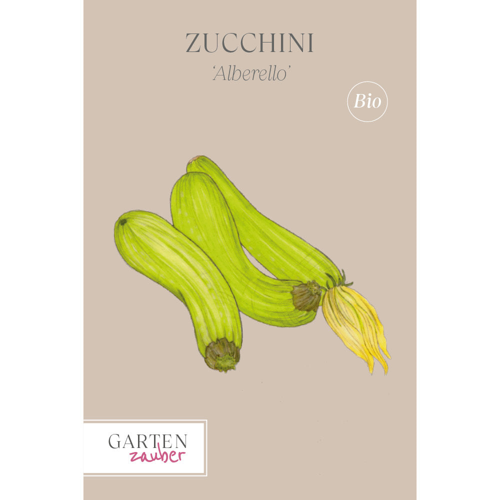 Vorderansicht Saatguttuete Zucchini 'Alberello' aus der Gartenzauber-Saatgutserie