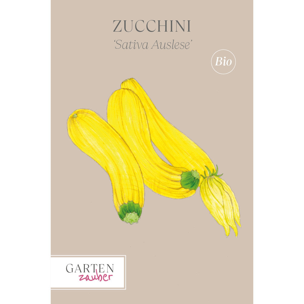 Vorderansicht Saatguttuete Zucchini ‘Sativa Auslese’ aus der Gartenzauber-Saatgutserie