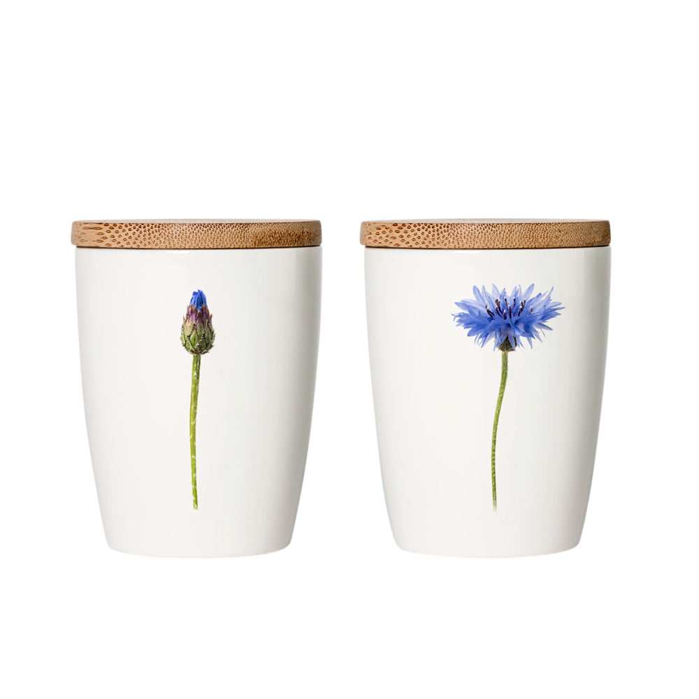 becher-kornblume-blumen-porzellan-simply-flowers-gartenzauber-bambus-design-daenisch