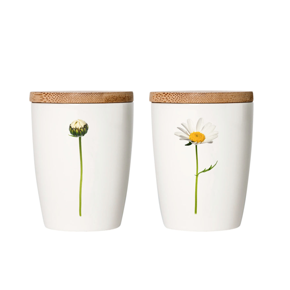becher-magerite-blumen-porzellan-simply-flowers-gartenzauber-bambus-design-daenisch