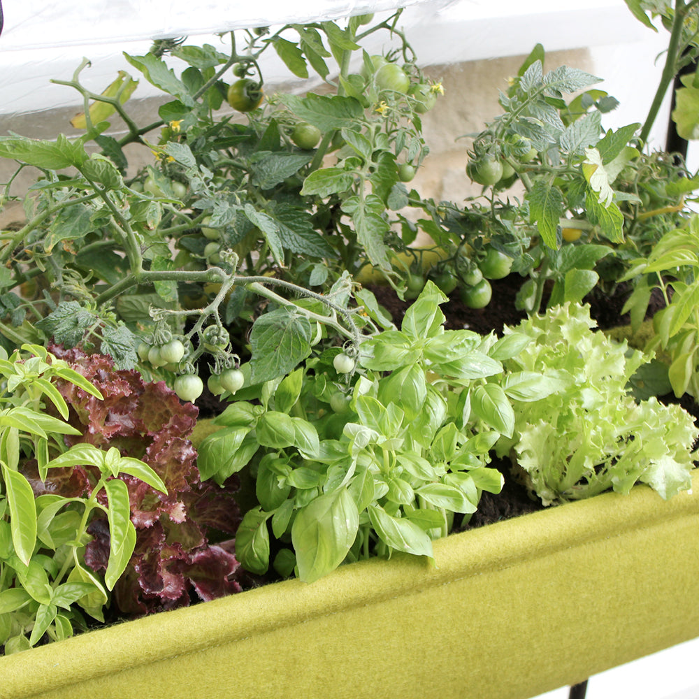 vigoroot-pflanztisch-easy-table-garden