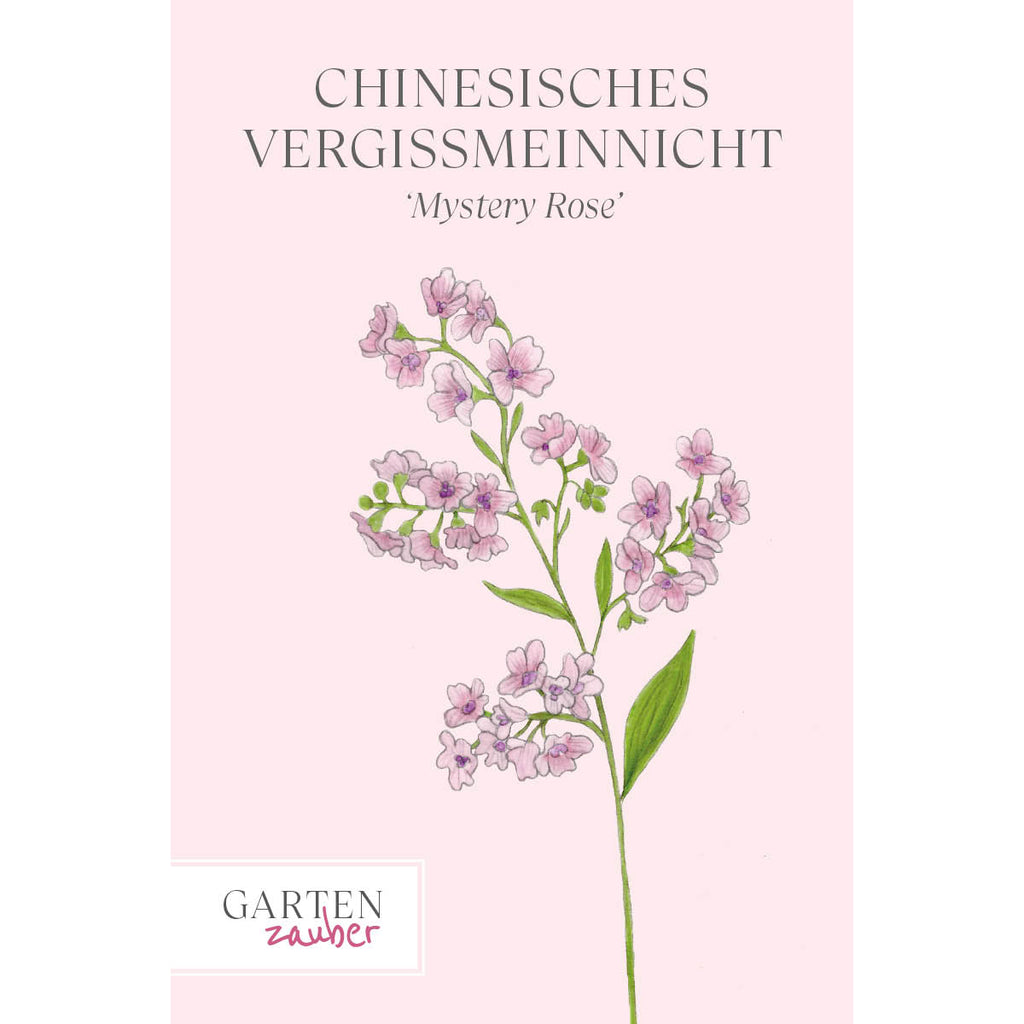 Vorderansicht Saatguttuete  Chinesisches Vergissmeinnicht - Cynoglossum amabile `Mystery Rose` aus der Gartenzauber-Saatgutserie