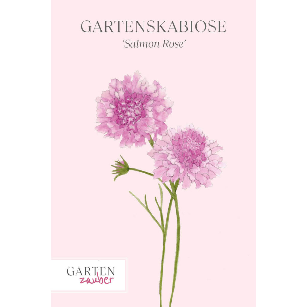 Vorderansicht Saatguttuete  Gartenskabiose - Scabiosa atropurpurea 'Salmon Rose' aus der Gartenzauber-Saatgutserie