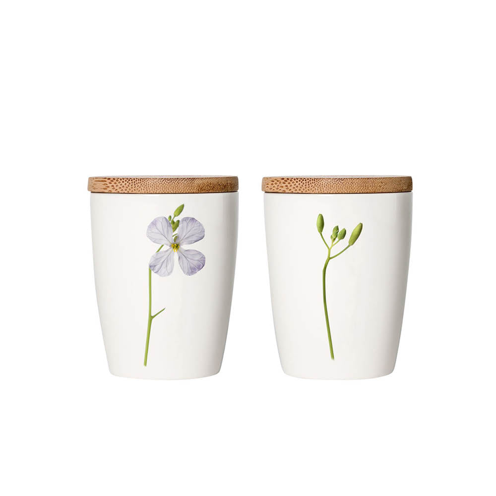 oelrettich-klein-blumen-porzellan-simply-flowers-gartenzauber-bambus-design-daenisch
