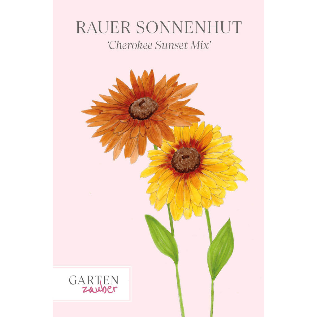 Vorderansicht Saatguttuete  Rauer Sonnenhut - Rudbeckia hirta 'Cherokee Sunset Mix' aus der Gartenzauber-Saatgutserie