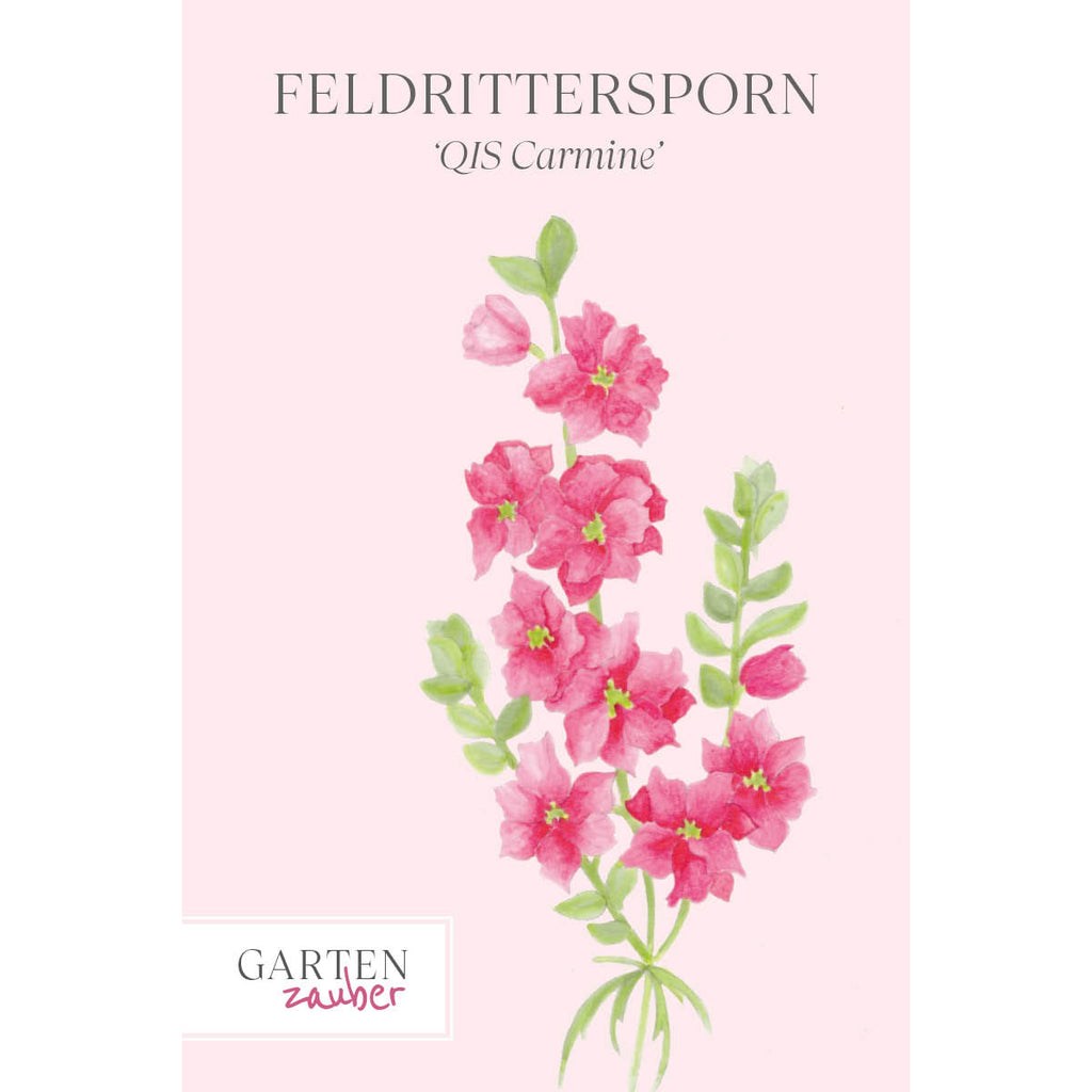 Vorderansicht Saatguttuete  FELDRITTERSPORN - Delphinium consolida `QIS Carmine` aus der Gartenzauber-Saatgutserie
