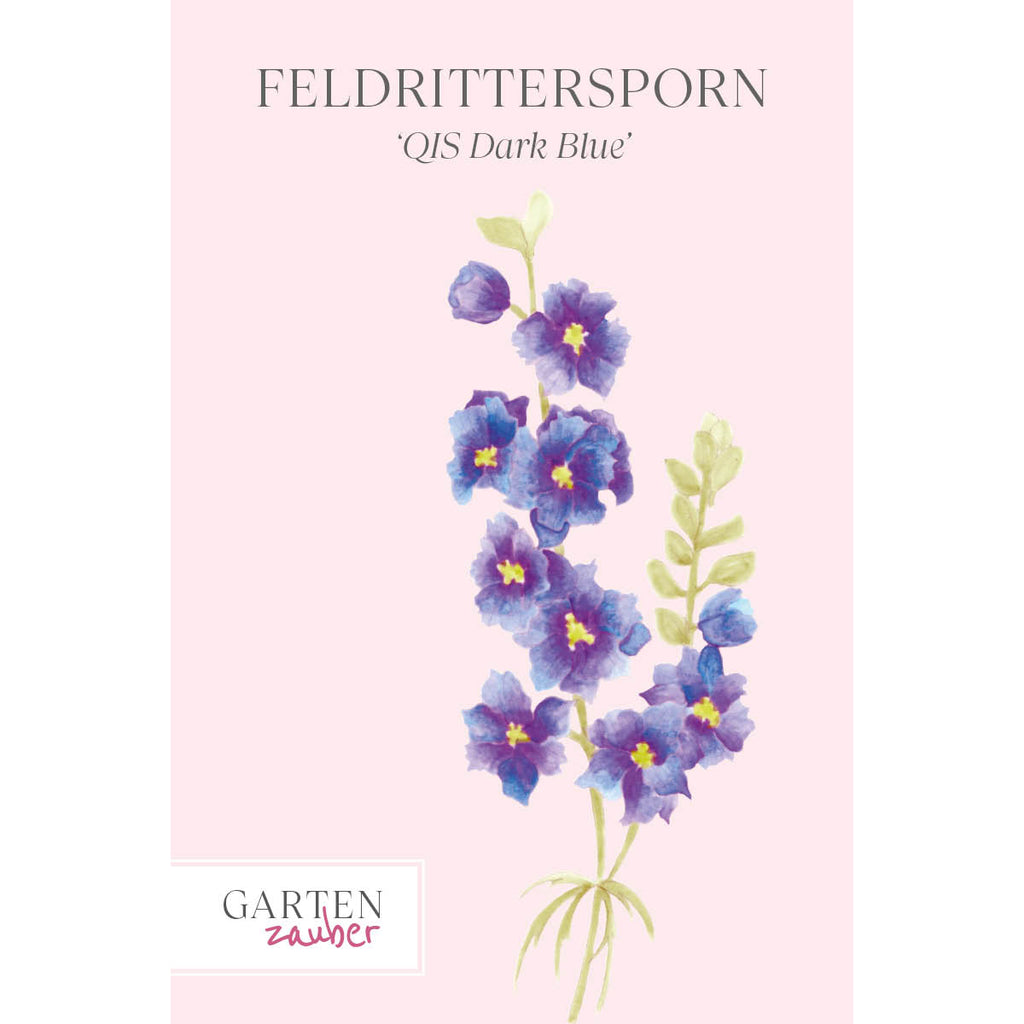 Vorderansicht Saatguttuete  Feldrittersporn - Delphinium consolida `QIS Dark Blue` aus der Gartenzauber-Saatgutserie