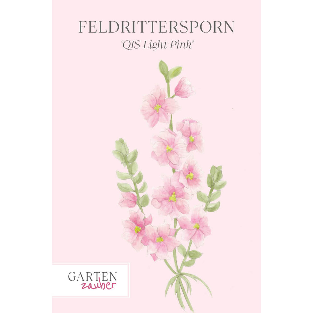 Vorderansicht Saatguttuete  Feldrittersporn - Delphinium consolida `QIS Light Pink` aus der Gartenzauber-Saatgutserie
