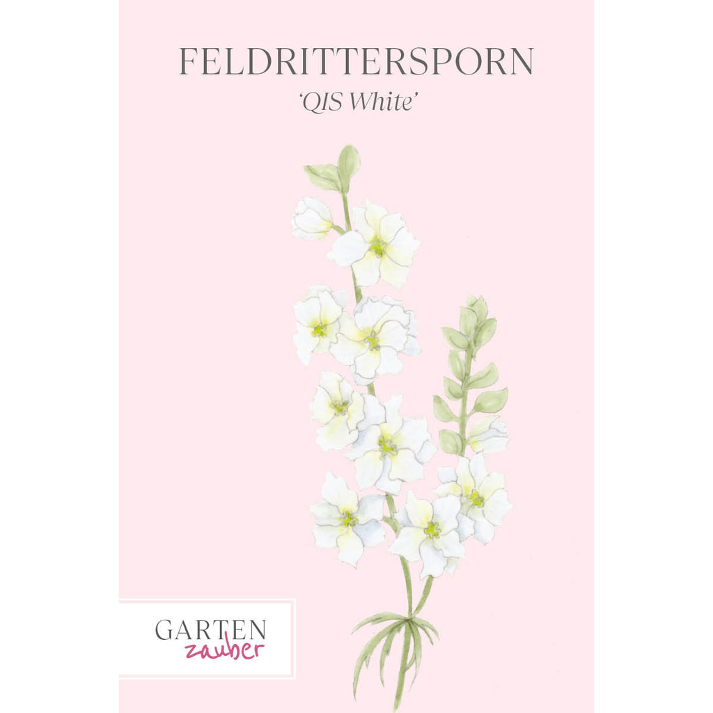 Vorderansicht Saatguttuete  Feldrittersporn - Delphinium consolida `QIS White` aus der Gartenzauber-Saatgutserie