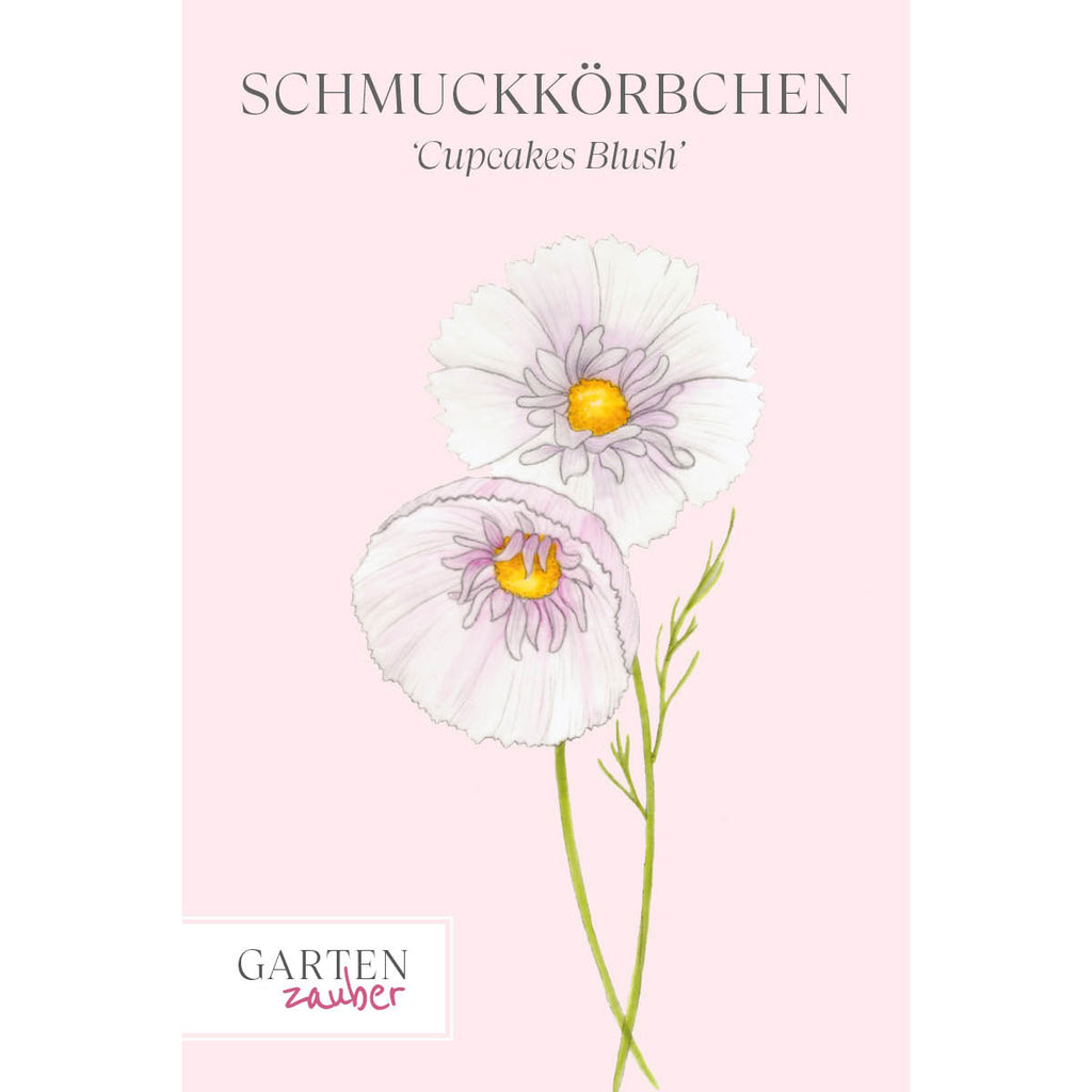 Vorderansicht Saatguttuete  Schmuckkoerbchen - Cosmos bipinnatus `Cupcakes Blush`  aus der Gartenzauber-Saatgutserie