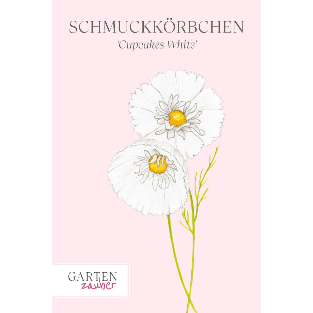 Vorderansicht Saatguttuete  Schmuckkoerbchen - Cosmos bipinnatus `Cupcakes White`  aus der Gartenzauber-Saatgutserie