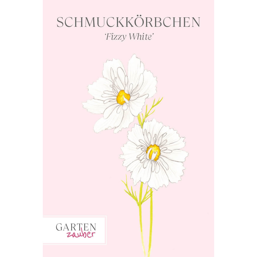 Vorderansicht Saatguttuete  Schmuckkoerbchen - Cosmos bipinnatus `Fizzy White` aus der Gartenzauber-Saatgutserie